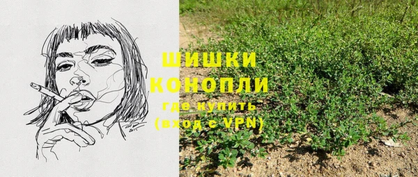 гашик Новодвинск
