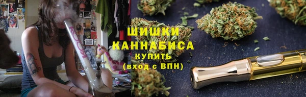 гашик Новодвинск