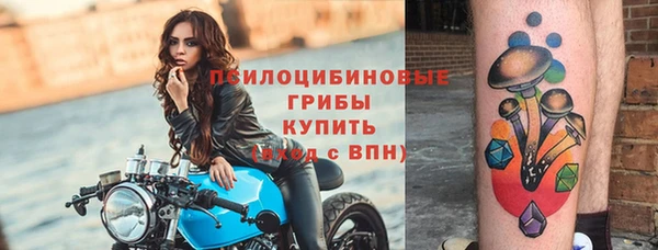 альфа пвп Новокубанск