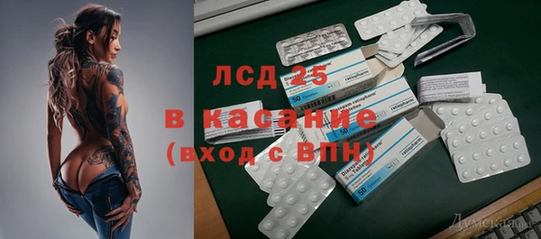 гашик Новодвинск