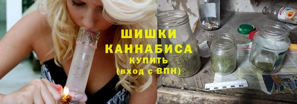 гашик Новодвинск