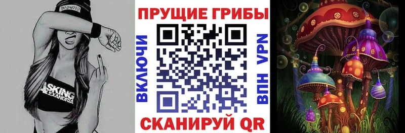 маркетплейс Telegram  где можно купить   Южноуральск  Псилоцибиновые грибы ЛСД 